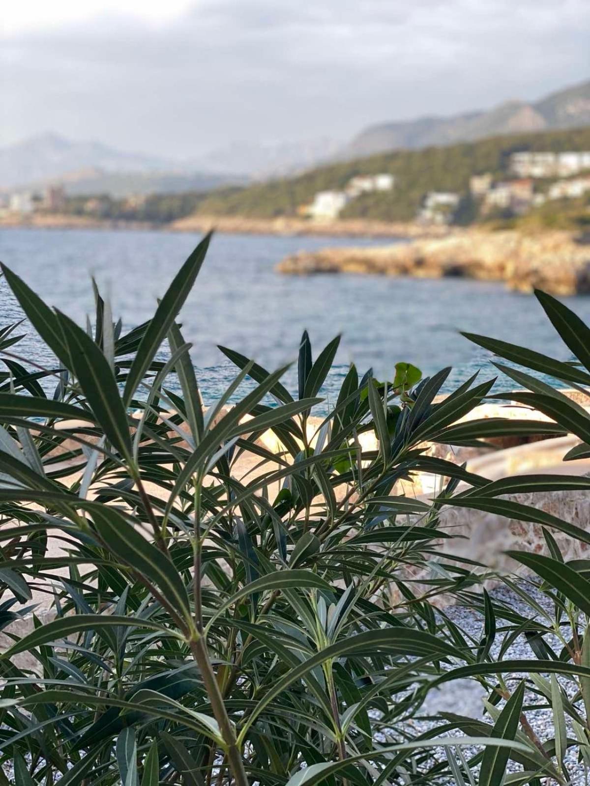 Seastar Eco Villa 尤塔哈 外观 照片